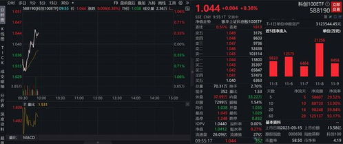 (代号speed下载)代号Speed，揭秘现代科技背后的速度革命